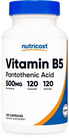 Vitamin B5 (Pantothenic Acid) Capsules (500 MG) (120 Capsules)